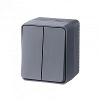 Выключатель о/у AtlasDesign Profi54 2кл антрацит IP54 10А SchE          