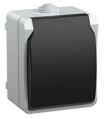 Розетка о/у Форс 1м с/з с з/ш IP54 16А 250В с защ.крыш. ИЭК                                        